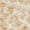 Image to render