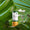 Pack Été Tranquille
