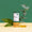 Image to render