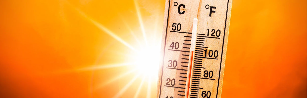 Comment lutter contre les fortes chaleurs (sans mettre la clim !)