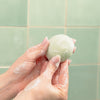 Après-Shampoing Solide • Cheveux Soyeux