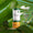 Duo Protection Été