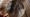 Image to render